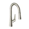 Hansgrohe Talis M51 - Keukenkraan 160 Met Uittrekbare Vuistdouche, RVS Look 72815800 -Exporteren Kraan Lux Winkel 4bdcf9c85504b2f3e6afcb33