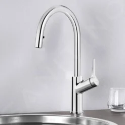 Blanco Carena S - Keukenkraan Met Uittrekbare Sproeikop, Chroom 520767 -Exporteren Kraan Lux Winkel f61a8217d00eaa03c545dcfd